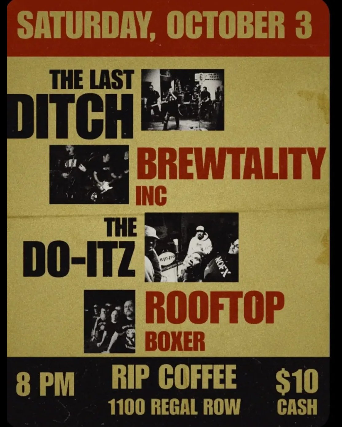 The Last Ditch, Brewtality Inc, The Do-Itz, Rooftop Boxer