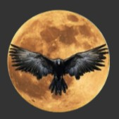 Raven Room logo
